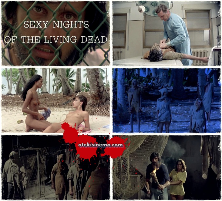 Erotic Nights Of The Living Dead.