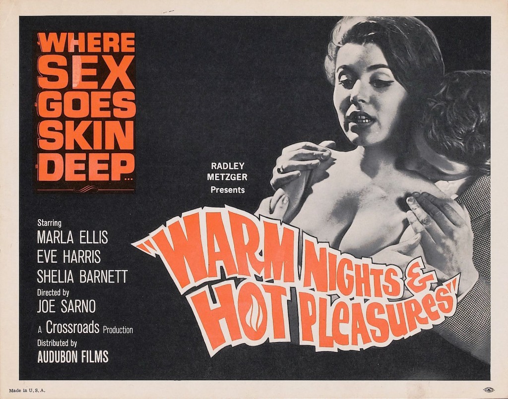 Sexploitation Filmlerin Öncülerinden: Joseph W. Sarno 1 – warm nights hot pleasures poster 01