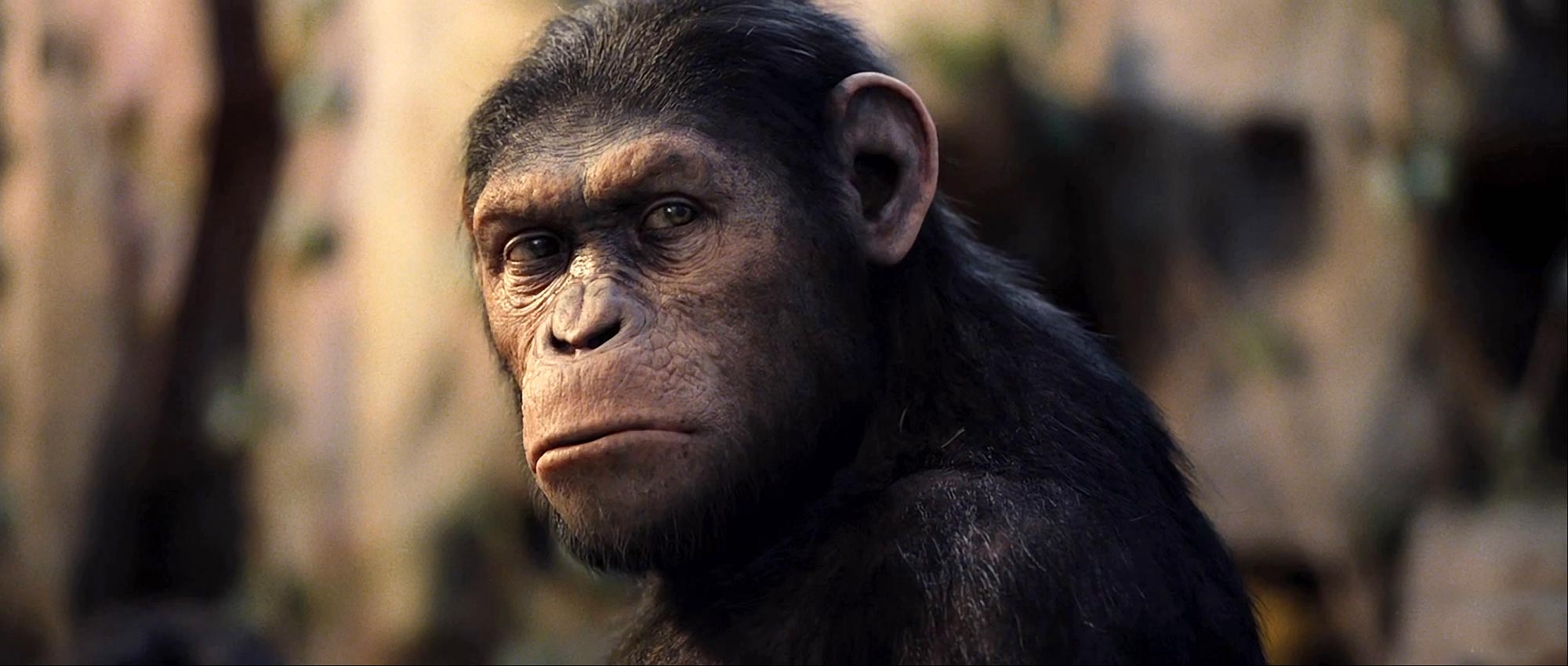 Rise of the Planet of the Apes (2011) 1 – rise of the planet of the apes 10