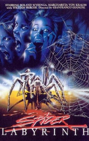 Spider Labyrinth poster