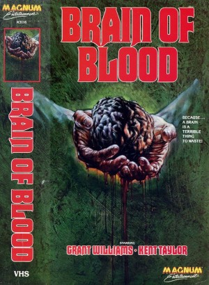 Video Kaset Kapakları Sergisi 25 – brain of blood