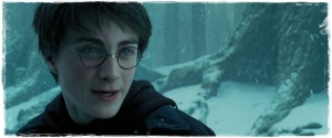 Harry Potter and the Prisoner of Azkaban (2004) 2 – Harry Potter and the Prisoner of Azkaban 1