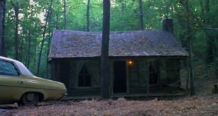 Top 10: Sinemanın En Tüyler Ürpertici Ormanları 16 – Evil Dead cabin forest