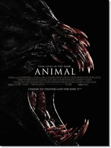 Animal poster