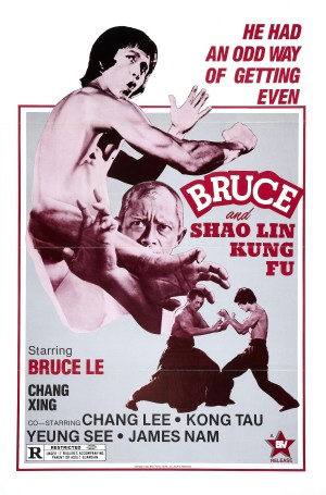 BruceMania: Çakma Bruce Lee Filmleri! 2 – bruce and shao lin kung fu poster 01
