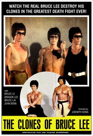 BruceMania: Çakma Bruce Lee Filmleri! 7 – clonesofbrucelee goldenswallow sc36
