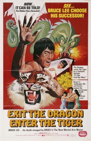 BruceMania: Çakma Bruce Lee Filmleri! 13 – exit dragon enter tiger poster 01