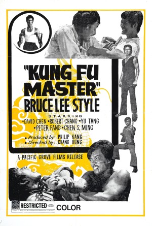 BruceMania: Çakma Bruce Lee Filmleri! 21 – kung fu master bruce lee style poster 01