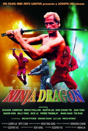 Ninja Film Afişleri 22 – ninja dragon poster 01