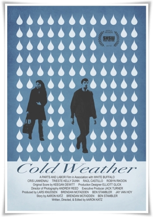 Cold Weather poster