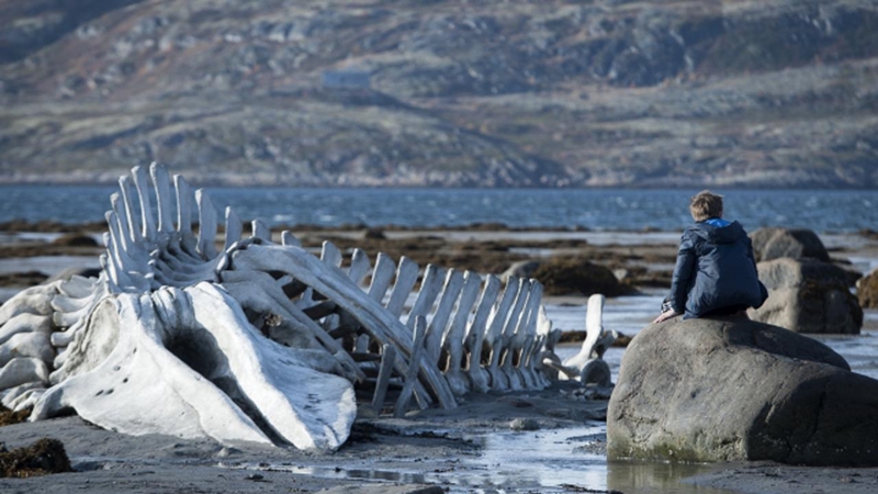 “Öteki”cilerin 2014 Yılı Keşifleri 1 – leviathan 2014