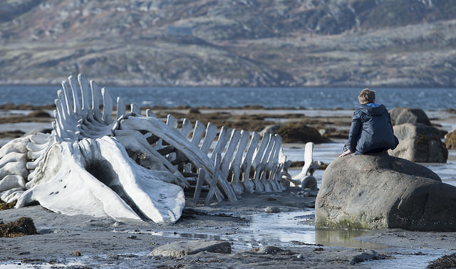 Leviathan (2014) 1 – Leviathan