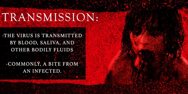 rec virus 04