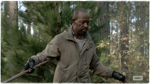 Walking Dead004
