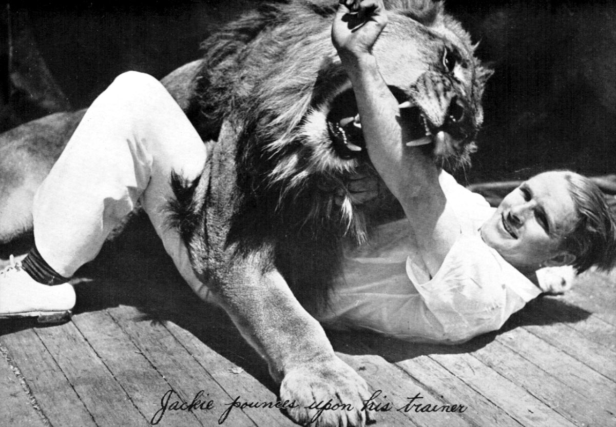 MGM Aslanı Leo'nun Fırtınalı Yaşam Öyküsü! 4 – MGM Lion 11