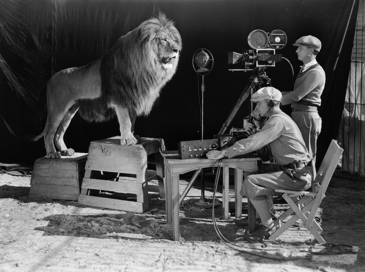 MGM Aslanı Leo'nun Fırtınalı Yaşam Öyküsü! 1 – MGM Lion 5