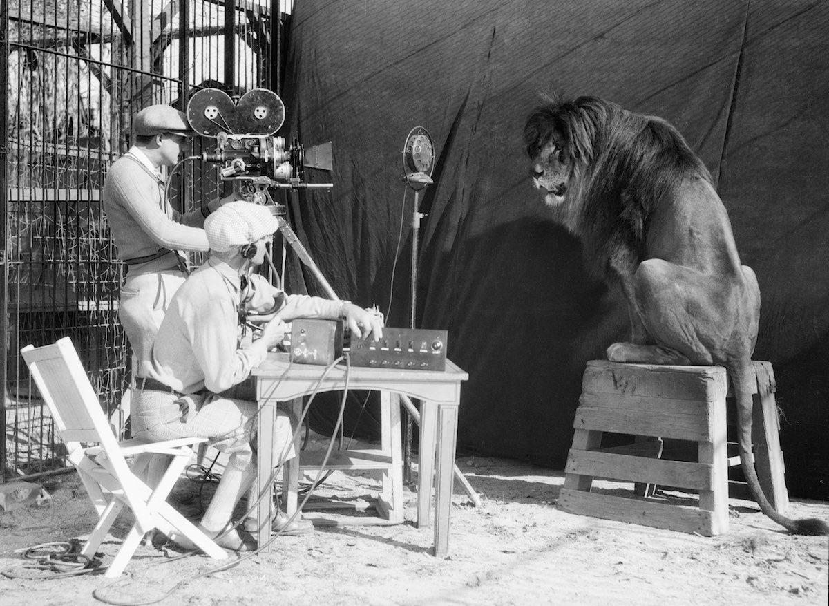 MGM Aslanı Leo'nun Fırtınalı Yaşam Öyküsü! 2 – MGM Lion 7