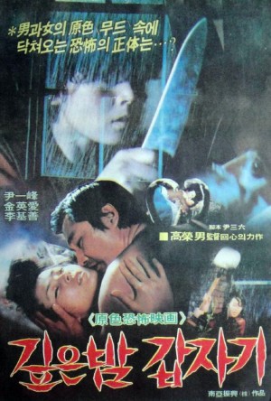 Suddenly In Dark Night poster 2