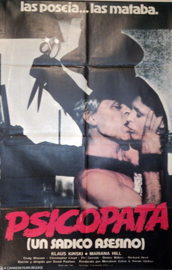 Schizoid (1980) 4 – Schizoid poster 4