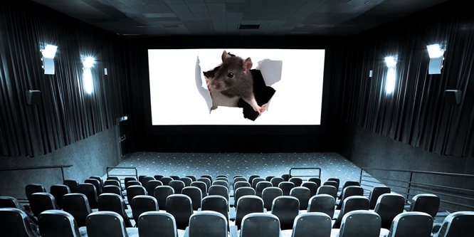 Film Festivallerini Kimler Kemiriyor? 1 – empty cinema and white screen