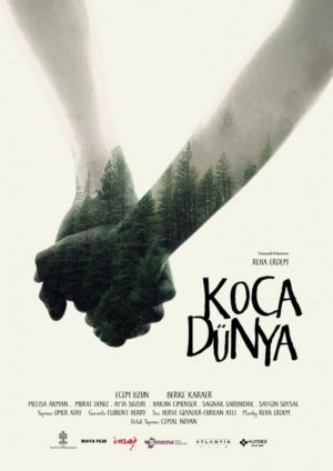 Afişleriyle 23. Adana Film Festivali Yarışmaları 8 – koca dunya 724x1024