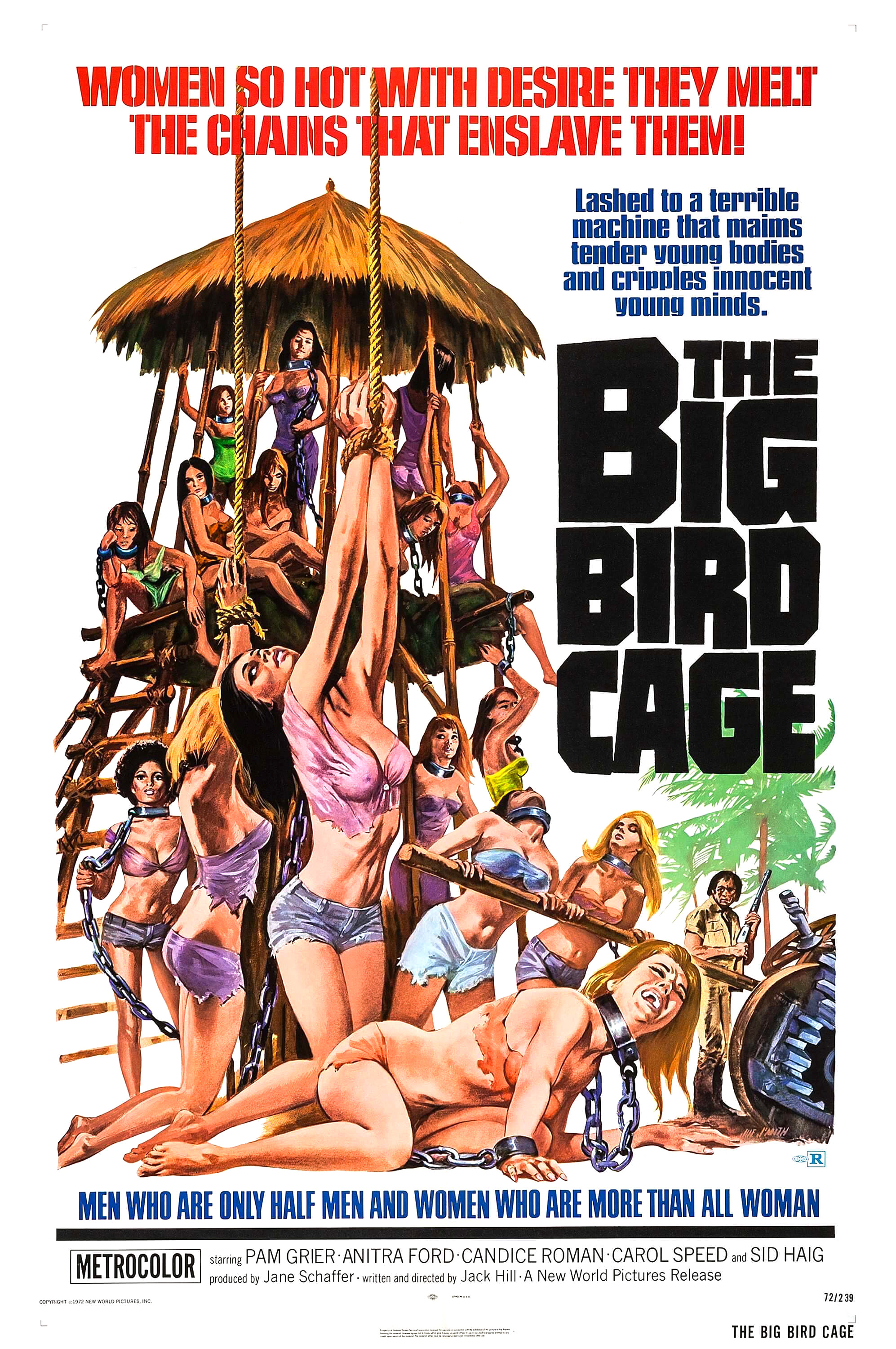 İstismar Sinemasının Vazgeçilmezleri: Tecavüz Filmleri 22 – big bird cage poster 01