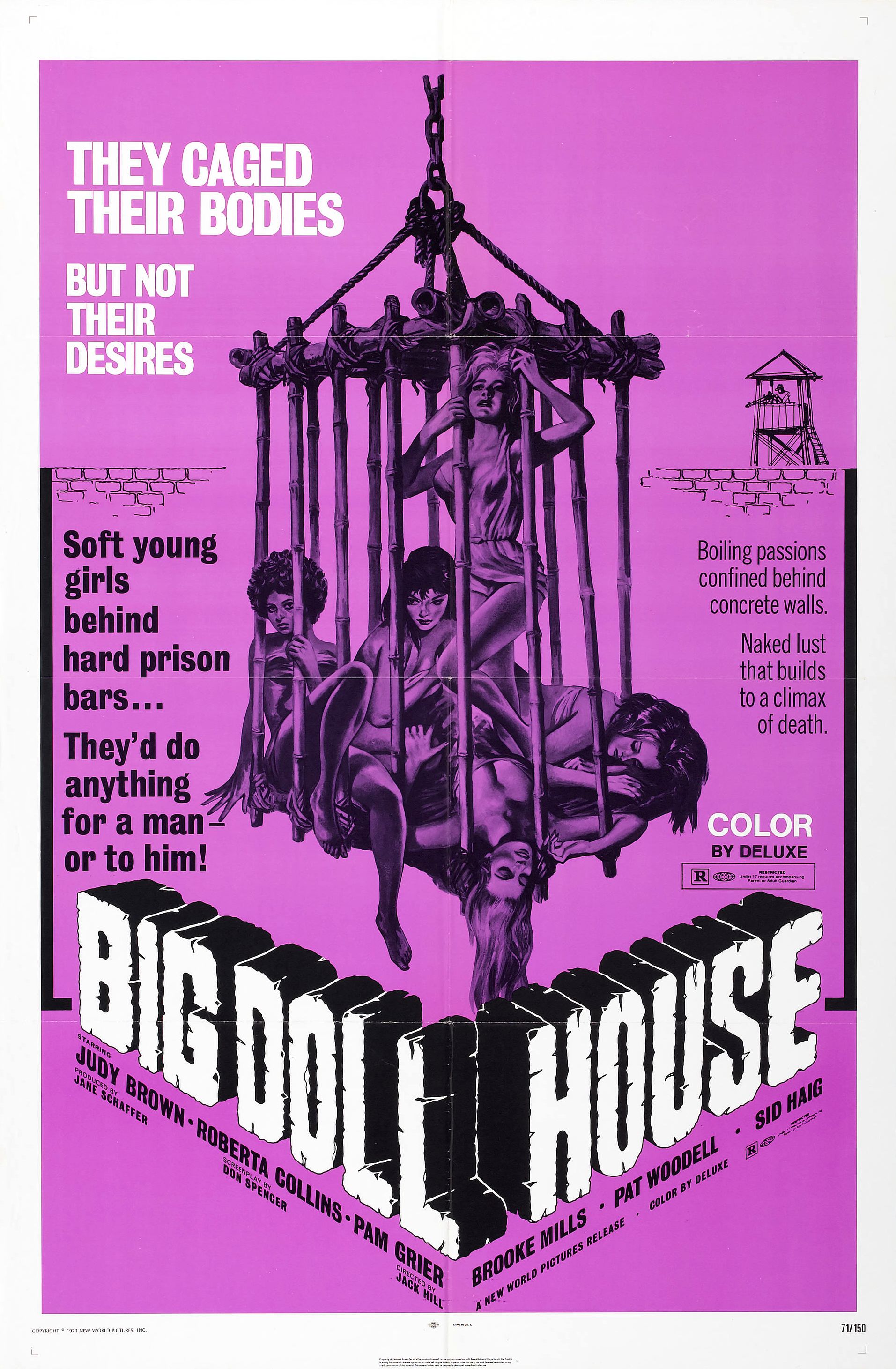 İstismar Sinemasının Vazgeçilmezleri: Tecavüz Filmleri 18 – big doll house poster 01