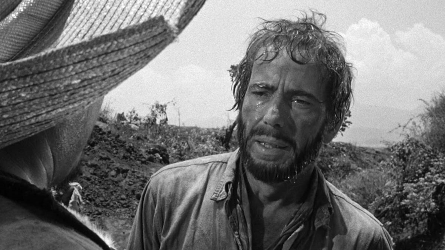 The Treasure of the Sierra Madre (1948) 1 – The Treasure of the Sierra Madre 5