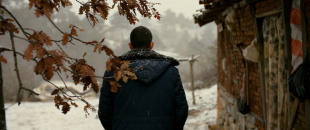 Tüm Görsel Materyalleriyle: Ahlat Ağacı 1 – Ahlat Ağacı 2