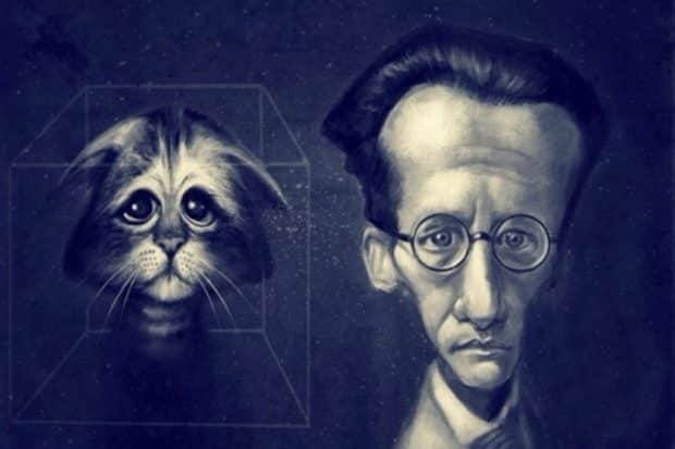 Her Yer Karanlık: The Darkest (2017) 2 – Schrödinger Kedisi