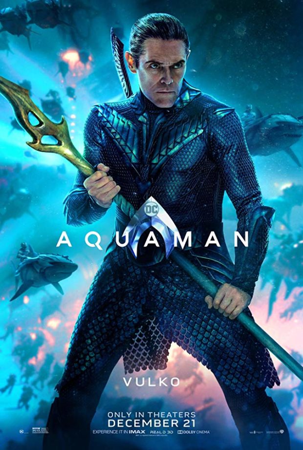 Atlantis'in Her Zaman Bir Kralı Vardı: Aquaman 14 – Aquaman karakter poster 7