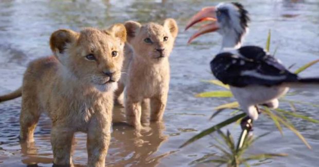 CGI Hayvanat Bahçesi: Aslan Kral (2019) 2 – The Lion King 2019 First Reactions