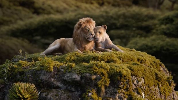 CGI Hayvanat Bahçesi: Aslan Kral (2019) 3 – lion king simba nala