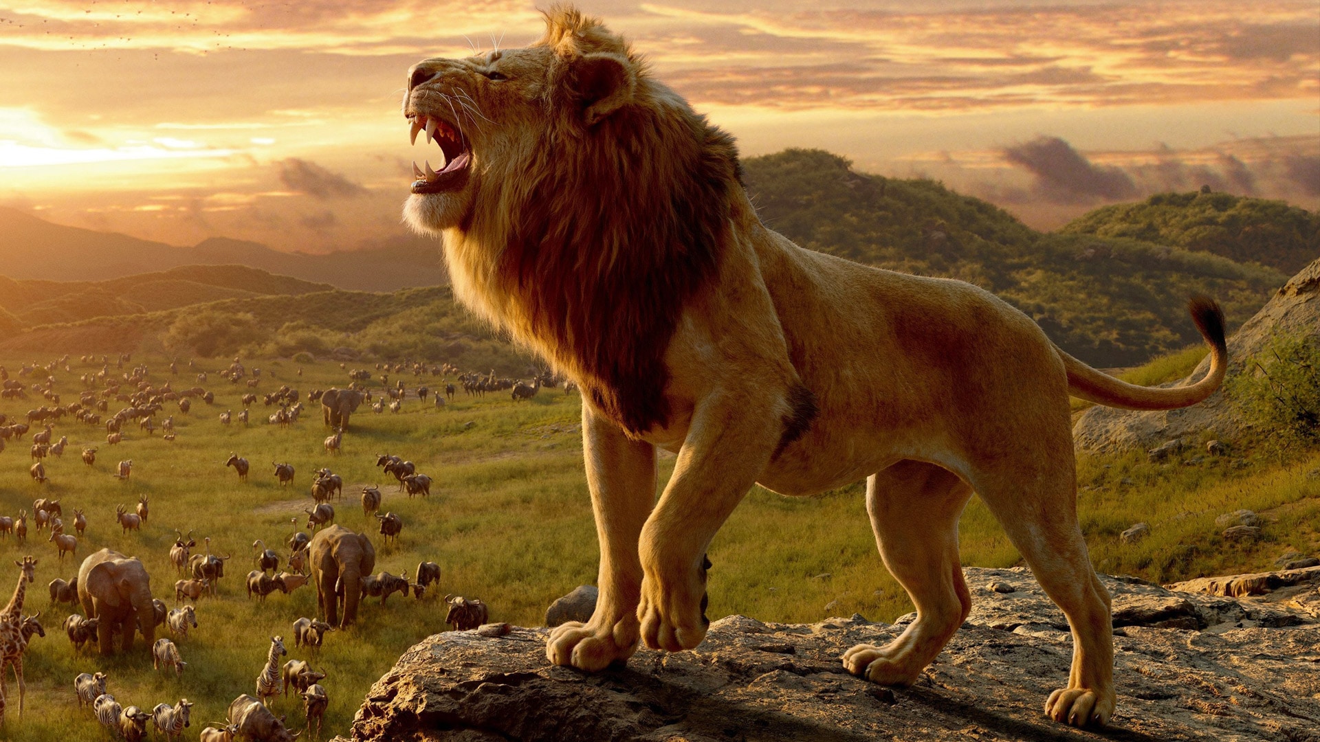 CGI Hayvanat Bahçesi: Aslan Kral (2019) 1 – lionking2019 feature