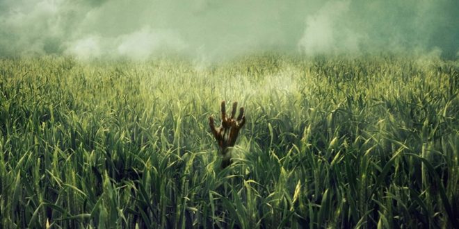 Bahçıvan Aranıyor: In the Tall Grass (2019) 1 – In the Tall Grass 04