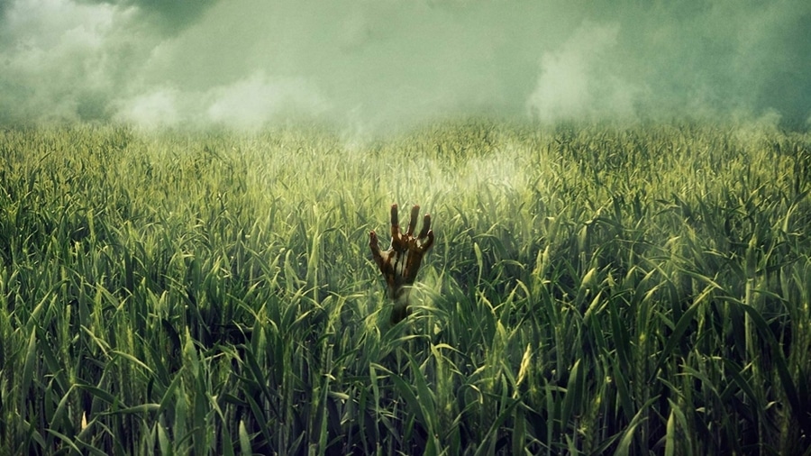 Bahçıvan Aranıyor: In the Tall Grass (2019) 1 – In the Tall Grass 04