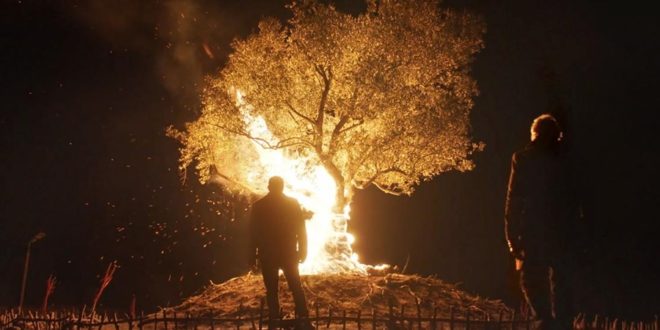 7. Boğaziçi Film Festivali Biletleri 7 Ekim’de Satışta 1 – Nuh Tepesi