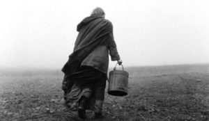 Salim Olcay 1 – The Turin Horse 2011