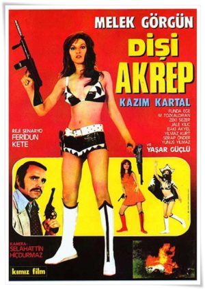 O'nun Hikayesi: Melek Görgün 2 – Dişi Akrep 1972 poster