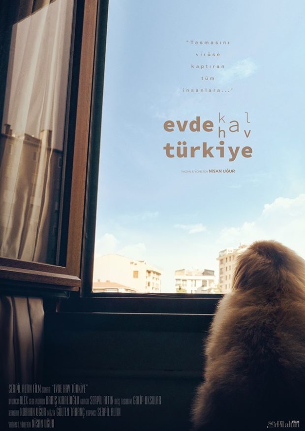 Bir Köpeğin Gözünden Pandemi: Evde Hav Türkiye 2 – Evde Hav Türkiye poster 1