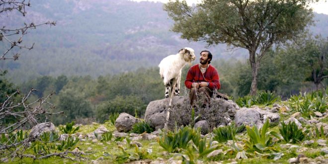 Turna Misali Filminin Dünya Prömiyeri Tokyo Film Festivali’nde 1 – Turna Misali 1