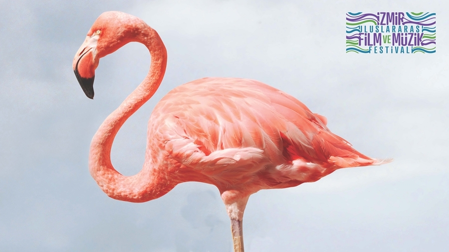 Kristal Flamingo İçin 10 Film Yarışacak 1 – 3 Izmir Film ve Muzik Festivali header