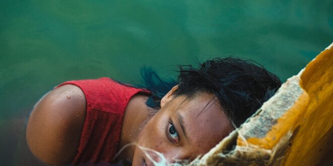 İstanbul Modern Sinema’da Unutma Biçimleri 1 – Stone Turtle